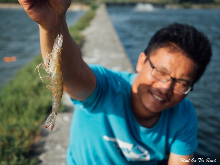好虾冏男社｜一个很［虾］的故事