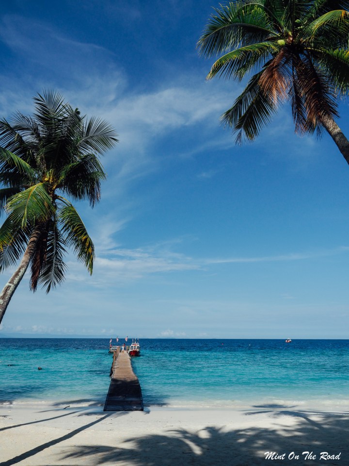 Olympus｜浪中岛追浪