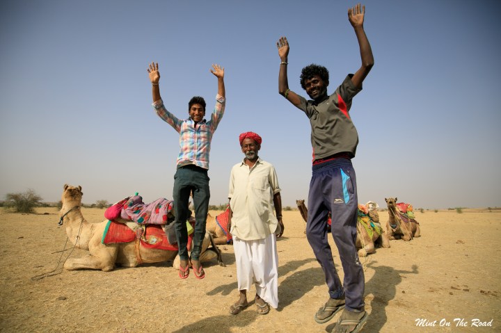 Camel Safari｜星空与甲虫