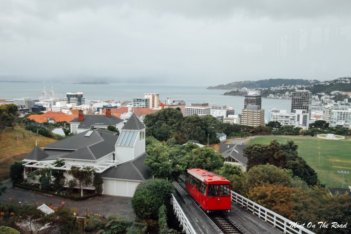 风城 or 疯城&nbsp;Wellington