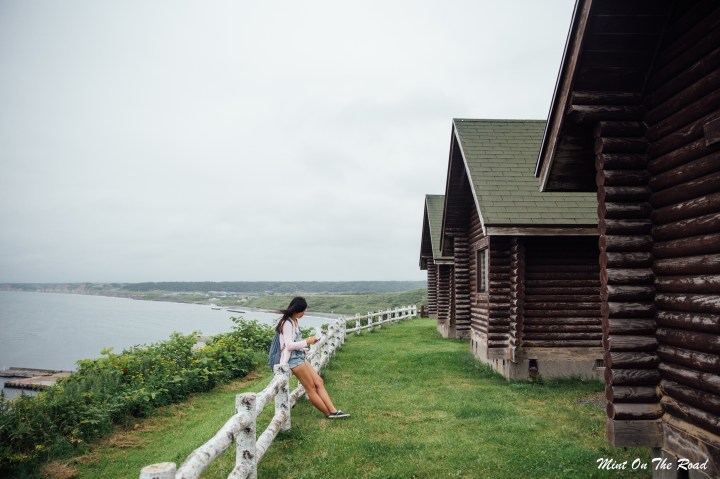 露营｜梦碎的声音